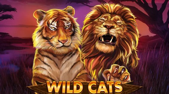 The Wild Cats Slot